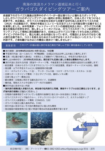 クリックすると拡大します ◆ダイビングツアーチラシ2.jpg