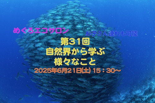 DSC_1338 (1).jpeg