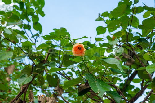 DSC_6958.jpg