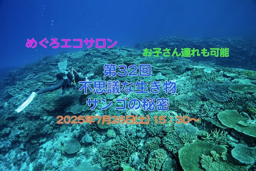 _DSC2769.jpeg