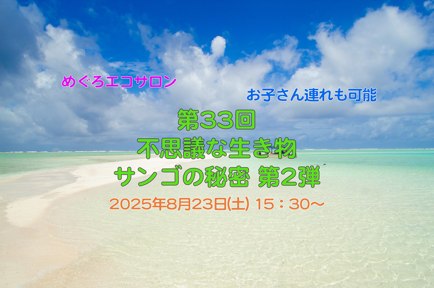 coral_value-0005.jpg