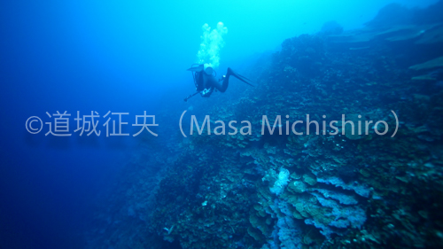 マーシャル 諸島 共和国